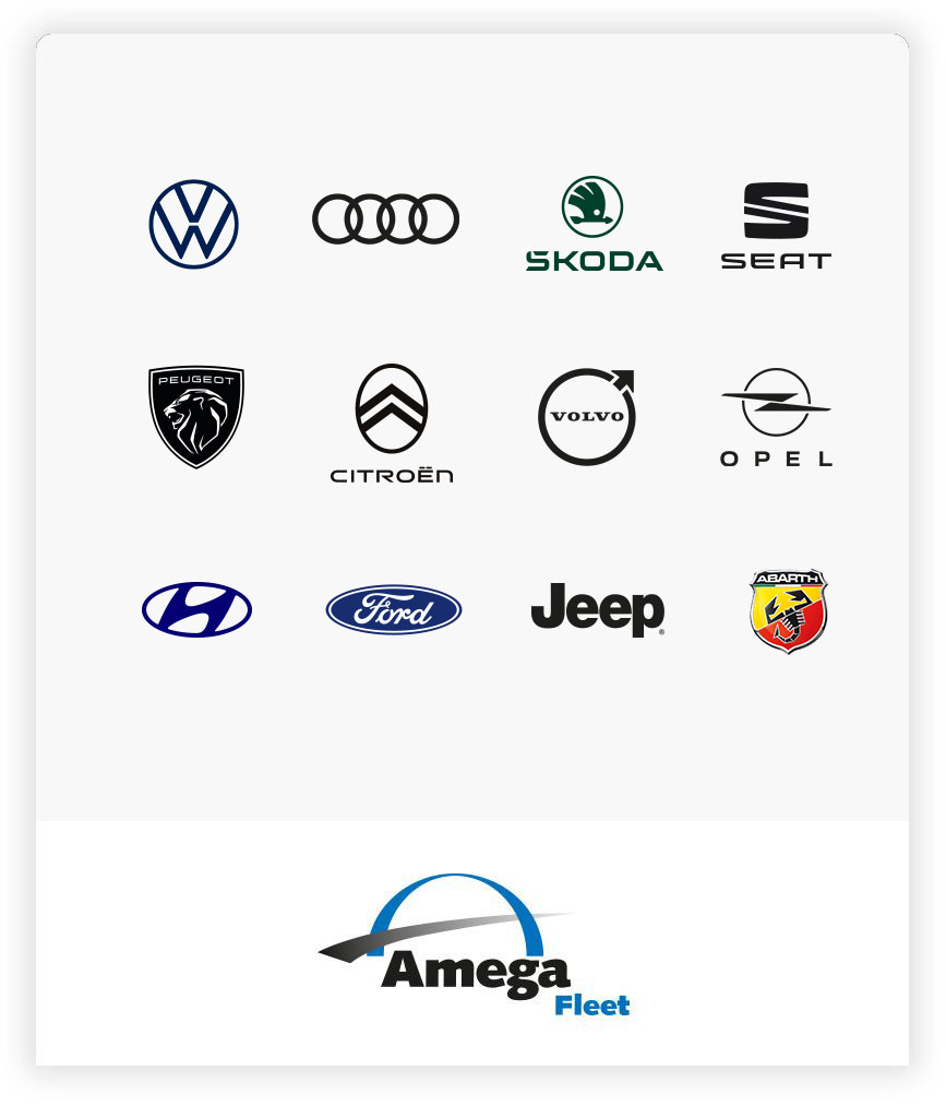 Amega Fleet Logo Amega Groep