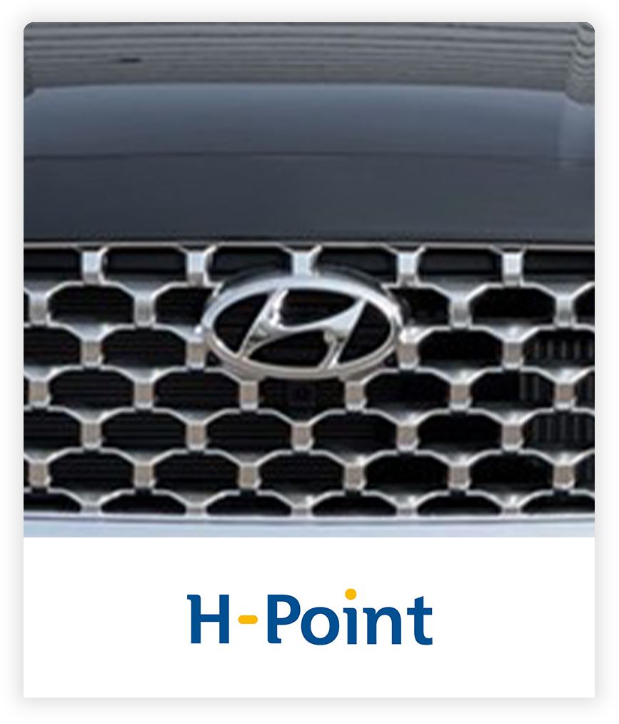 Amega H-Point logo grille